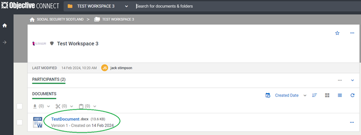 Example of a supporting information request workspace after a user gets access to it.