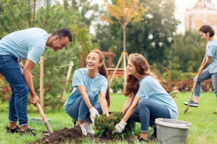 A group of 4 people working together to plant a tree in a park.