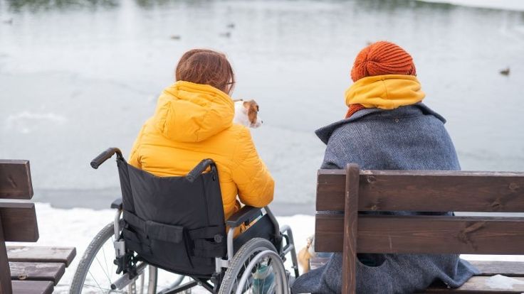 Two people are sat outside looking towards a pond. One person is sat in a wheelchair, the other sat on a bench