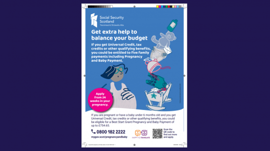 Graphic of a preview of poster for Pregnancy and Baby Payment