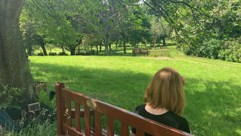 Person sitting on a bench under a tree