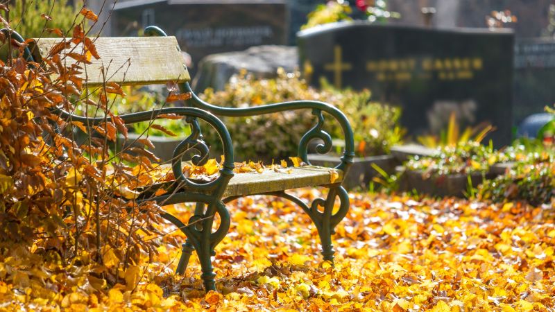 A bench is surrounded by autumn leaves. Grave stones are in the background.
