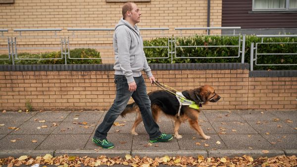 Visually impaired male walking with guide dog